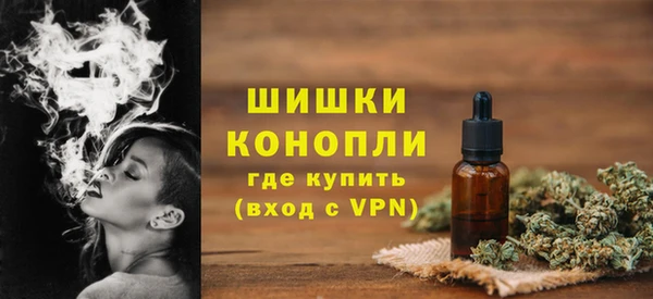 spice Гусиноозёрск