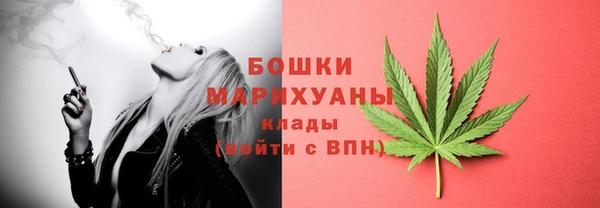 spice Гусиноозёрск