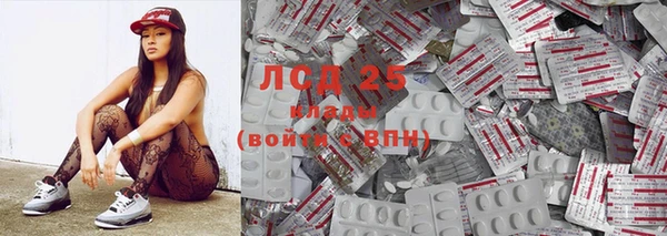 spice Гусиноозёрск