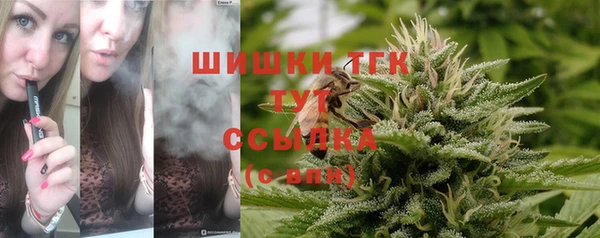 mix Гусев